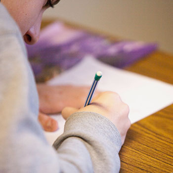 During LanguageCert selt exam