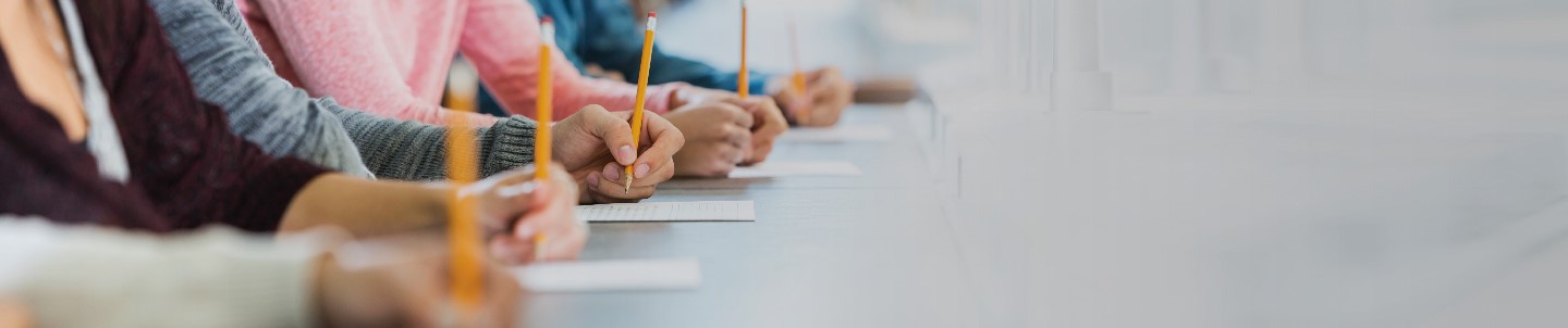 LANGUAGECERT<br>Türkiye Central Exams